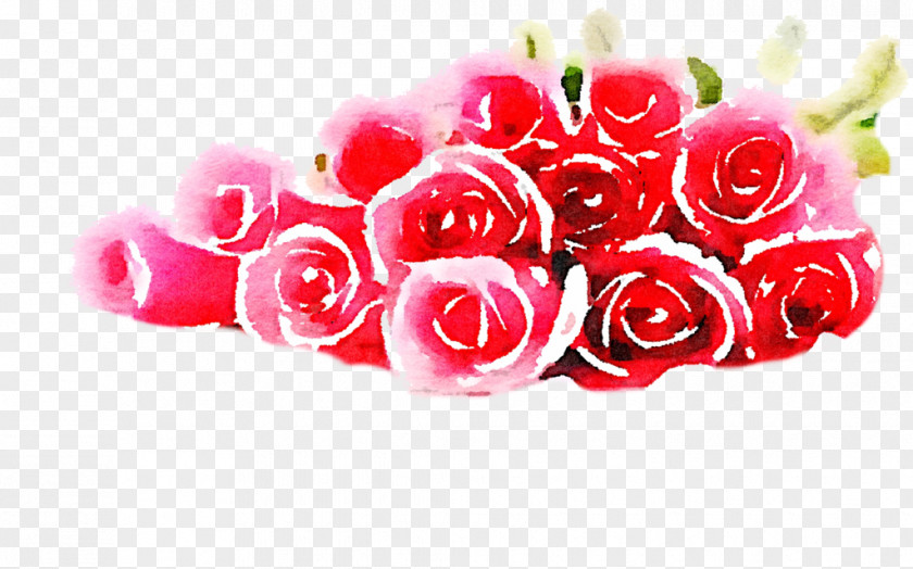 Watercolor Rose Desktop Wallpaper Painting Flower PNG