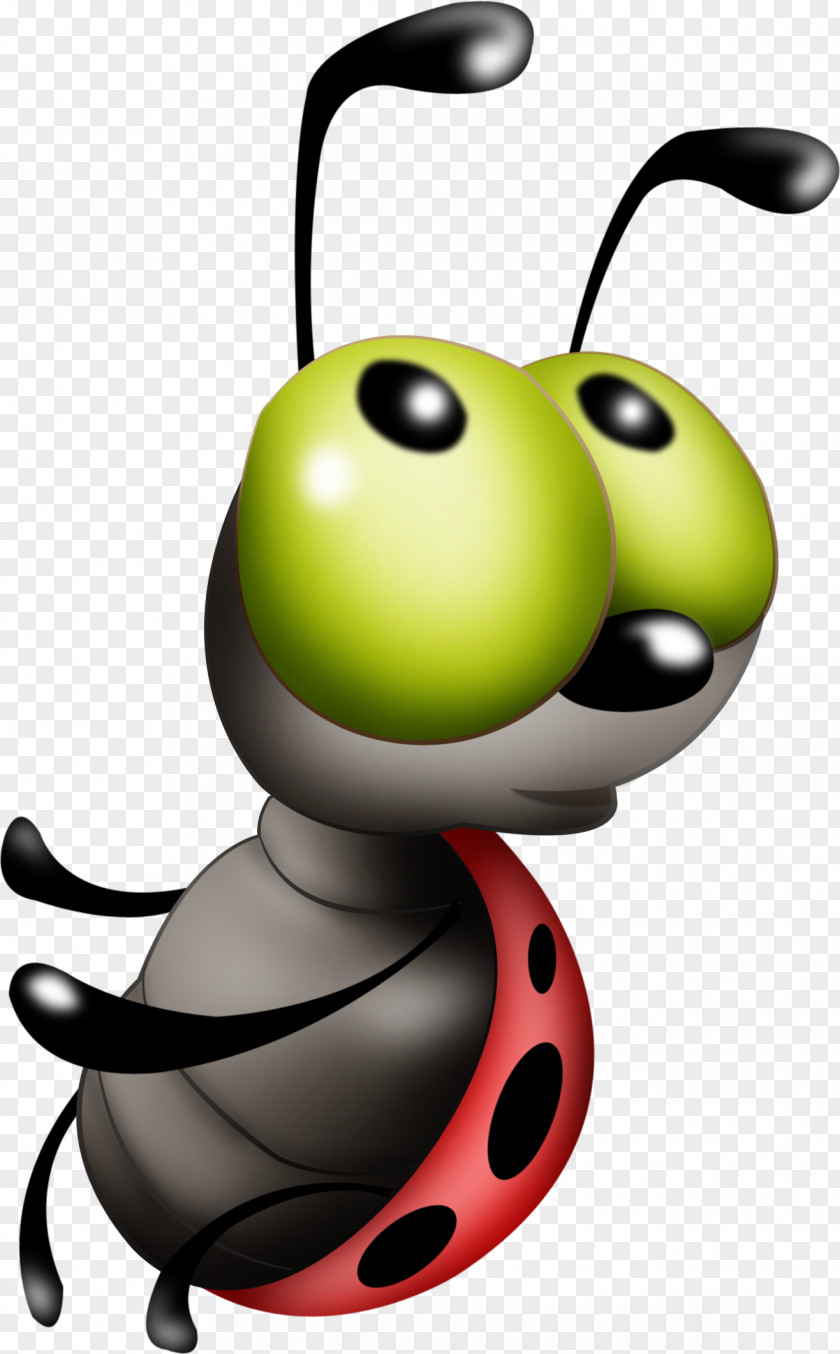 Bugs Photography Albom Animation Week PNG