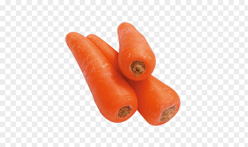 Carrot Baby Vegetable PNG