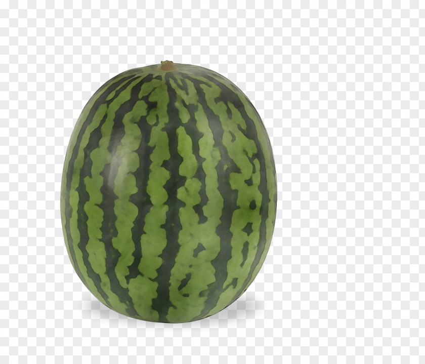 Cucurbita Vegetable Watermelon Cartoon PNG