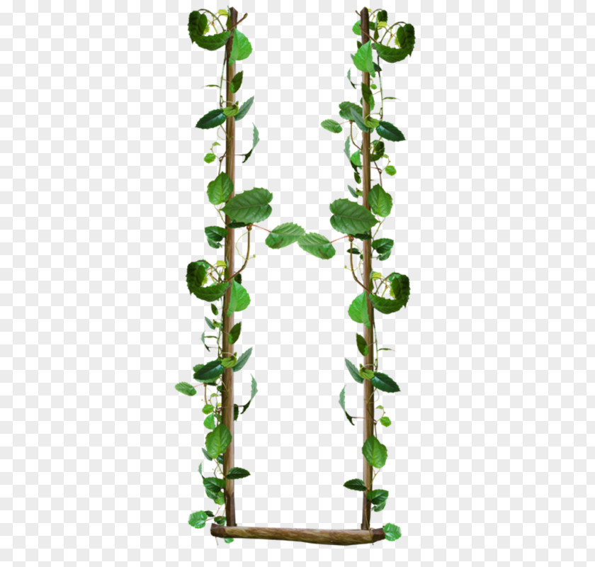 Flores Blancas Swing Balancelle PNG