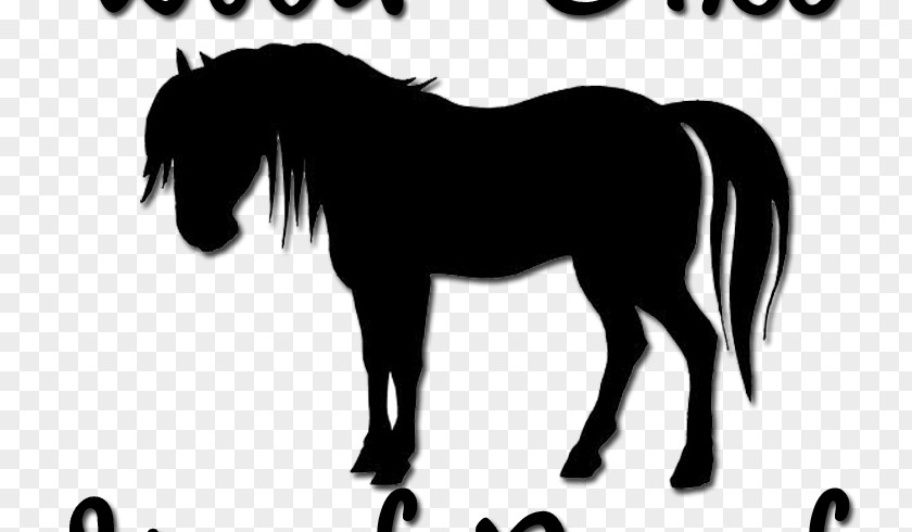 Horse Pony Silhouette Foal Equestrian PNG
