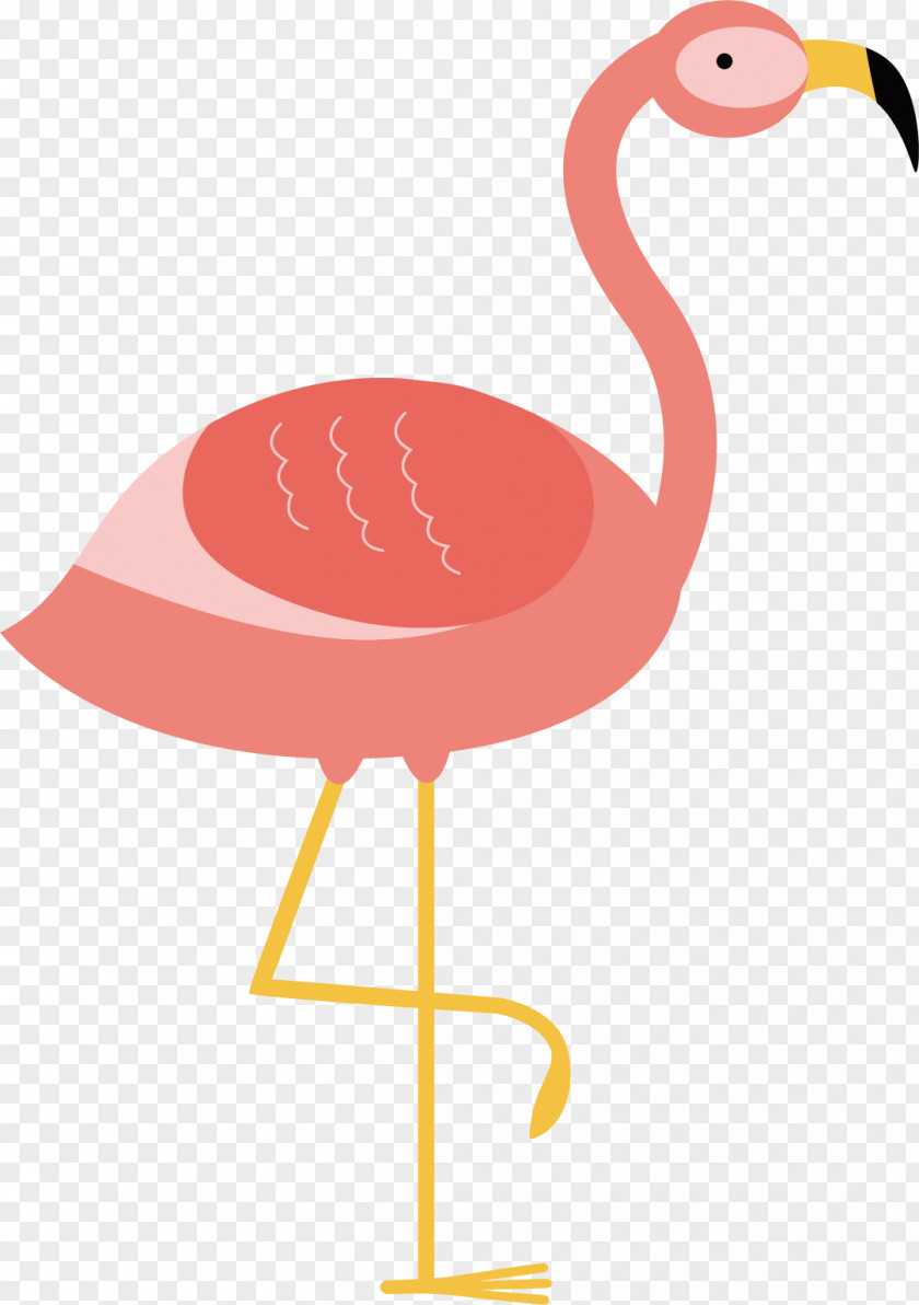 Pink Flamingo Vector Bird Illustration PNG