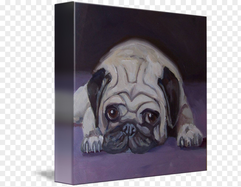 Puppy Pug Dog Breed Toy Gallery Wrap PNG