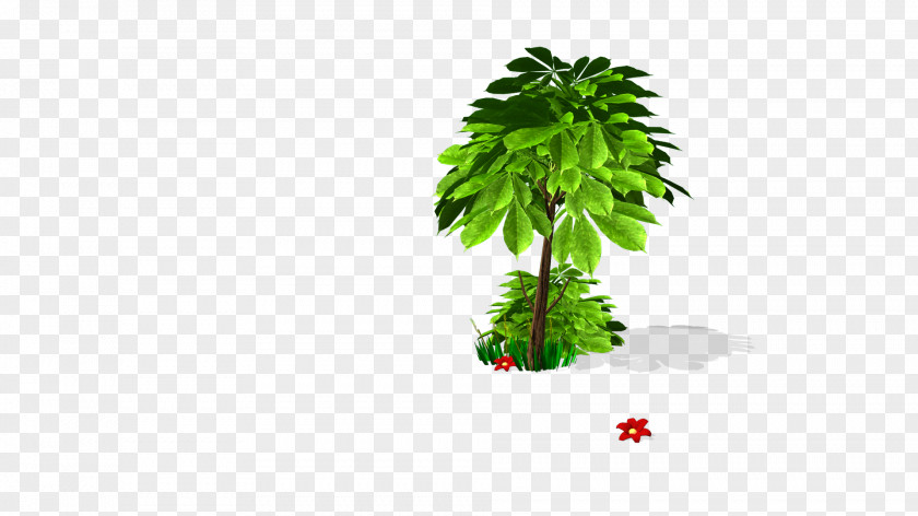 Tree Flowerpot PNG