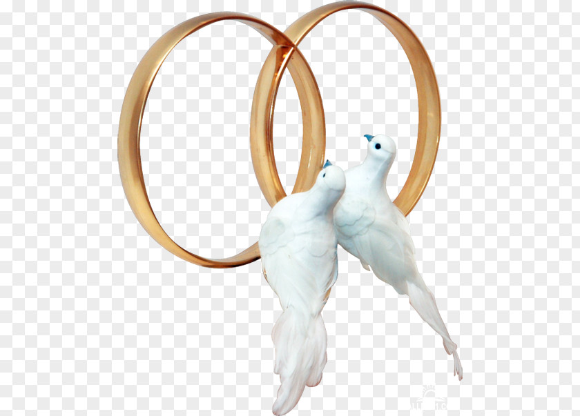 Wedding Ring Pigeons And Doves Clip Art PNG