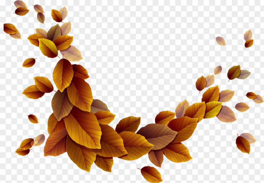 Yellow Autumn Leaves Vector Dream Download PNG