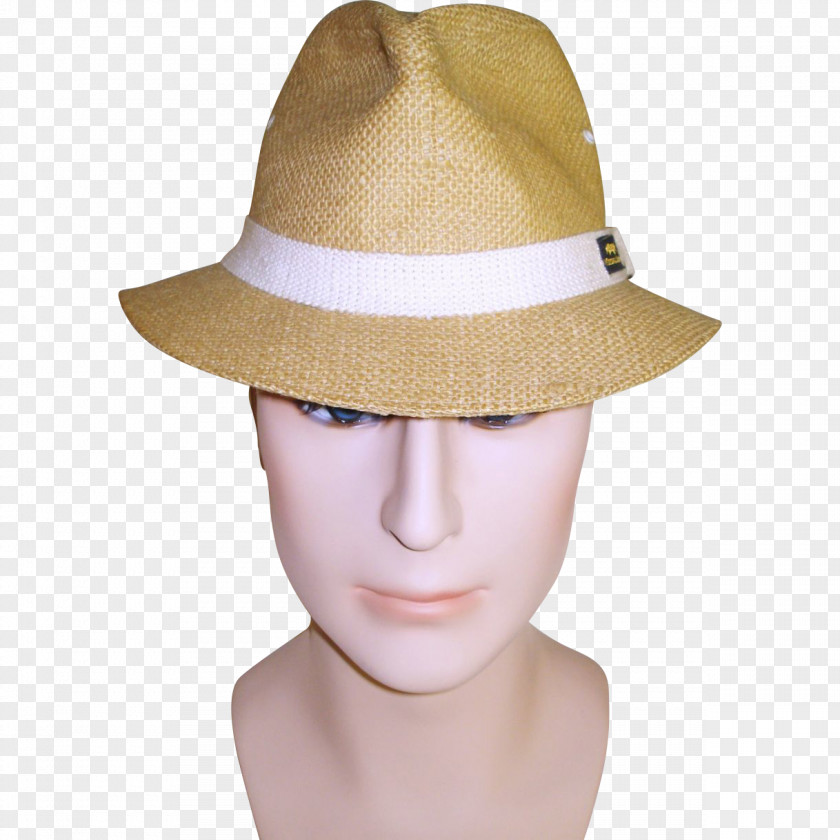 Hat Sun Fedora Beige PNG