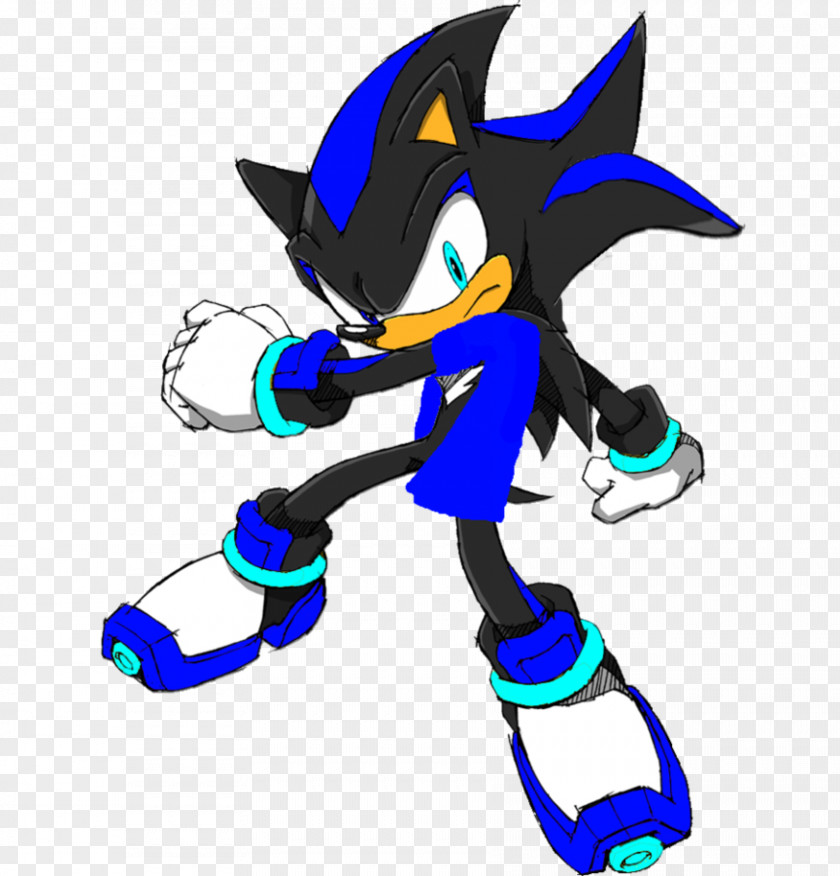 Hedgehog Shadow The Rouge Bat Sonic Free Riders Amy Rose PNG