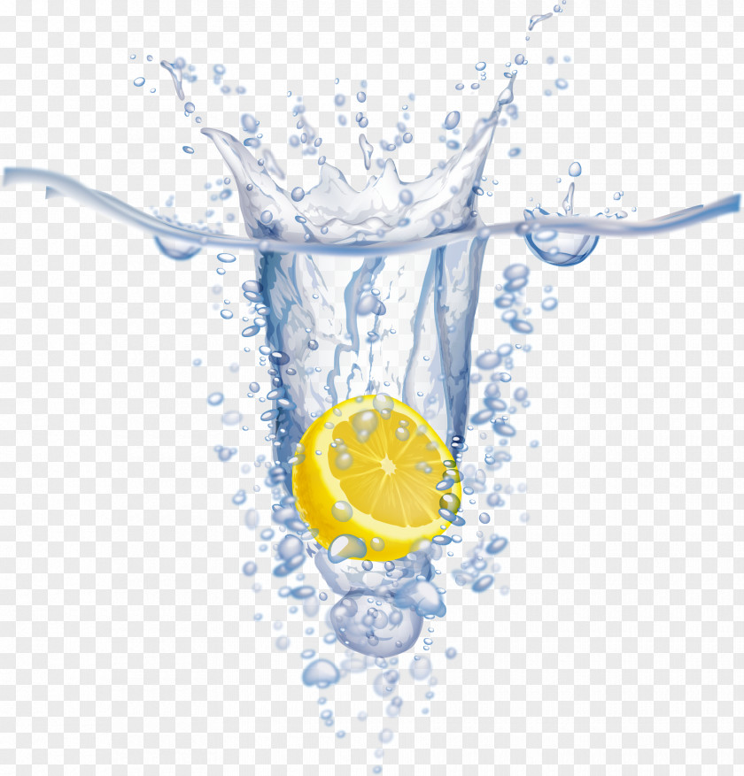 Lemon Vector Water Euclidean PNG