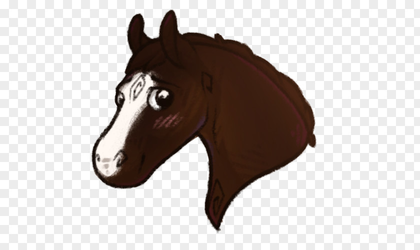 Mustang Mane Halter Pony Stallion PNG