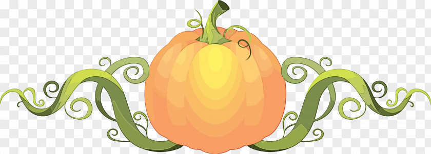 Orange PNG