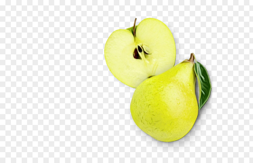 Plant Pear Apple Background PNG