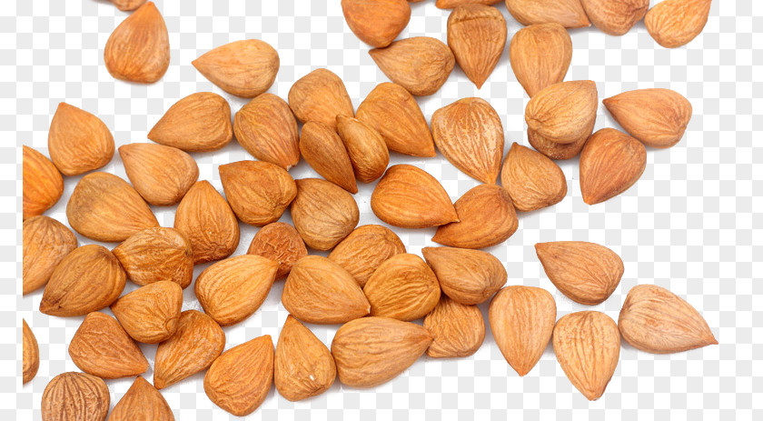 And Spilled Almonds Hazelnut Almond Apricot PNG