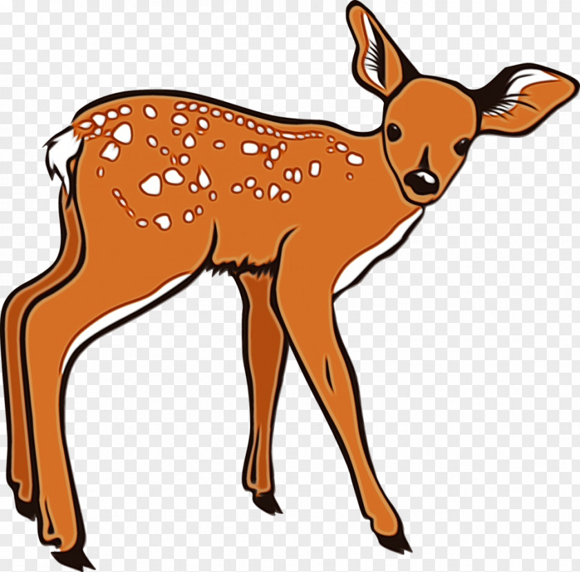 Deer Roe Wildlife Fawn Animal Figure PNG