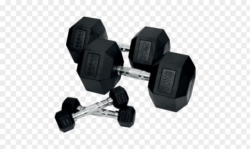 Dumbbell Barbell Olympic Weightlifting Weight Training CrossFit PNG