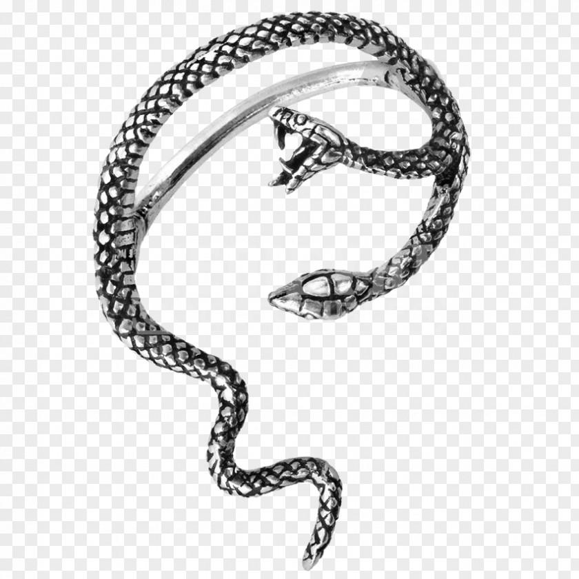 Ear Earring Serpent Lernaean Hydra Bracelet PNG