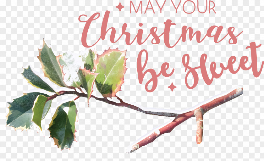 Leaf Plant Stem Twig Tree Font PNG