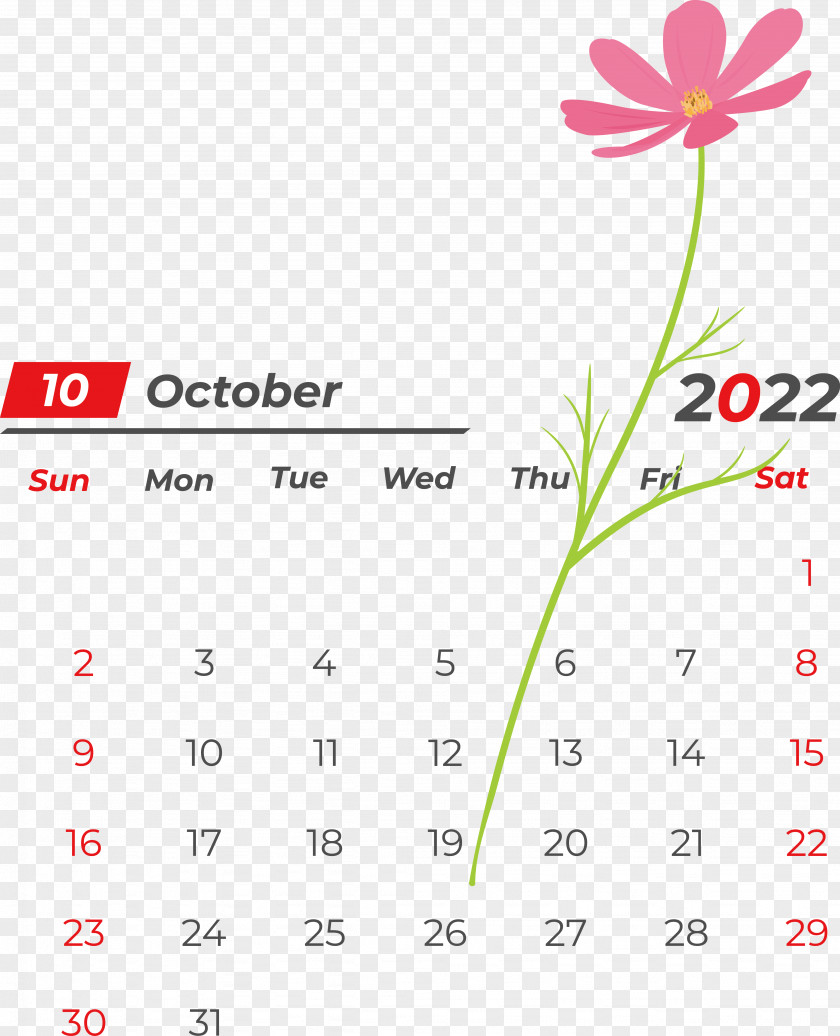 Line Flower Font Calendar Petal PNG