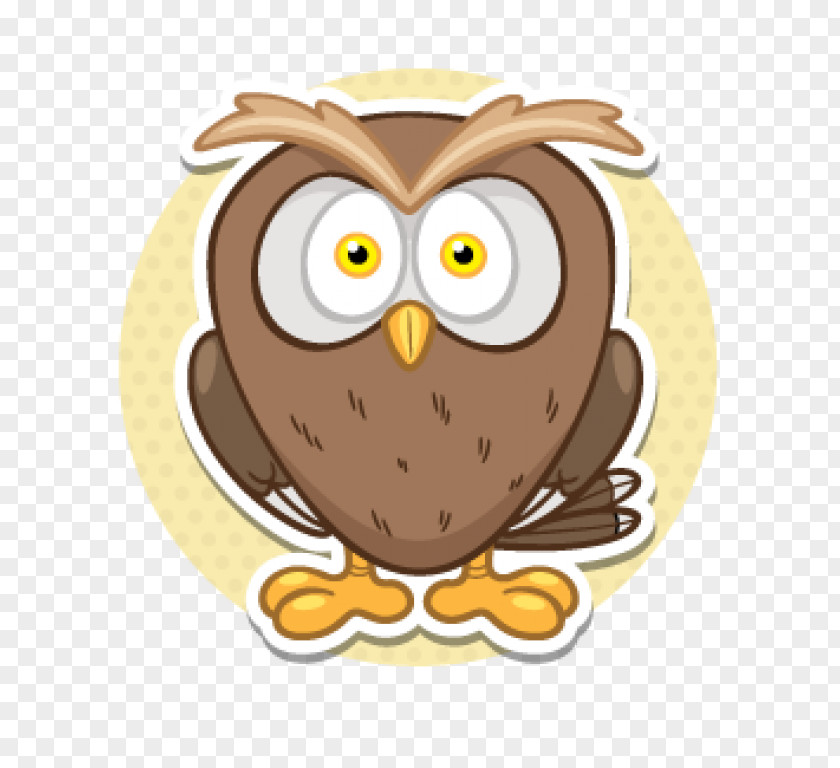 Owl Drawing Installation PNG