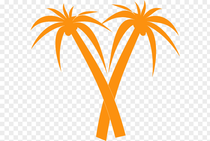 Palm Vector Arecaceae Orange Tree Clip Art PNG