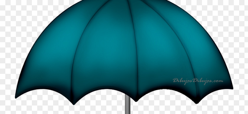 Xi Jinping Rain Umbrella Wellington Boot PNG