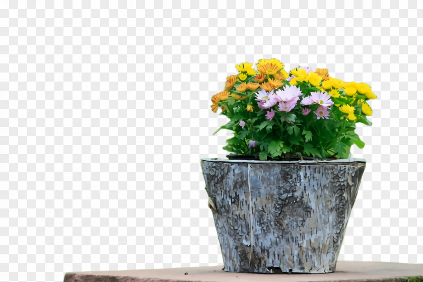 Bouquet Cut Flowers Flowerpot Houseplant Flower Plant Yellow PNG