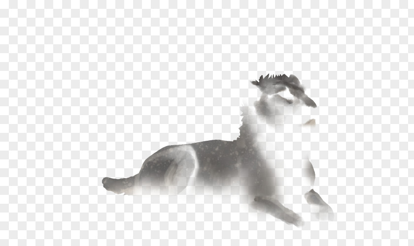 Mid-cover Whiskers Lion Felidae Dog Cat PNG