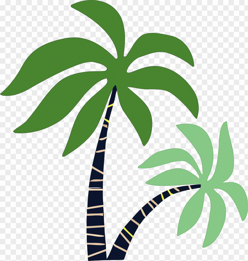 Palm Trees PNG