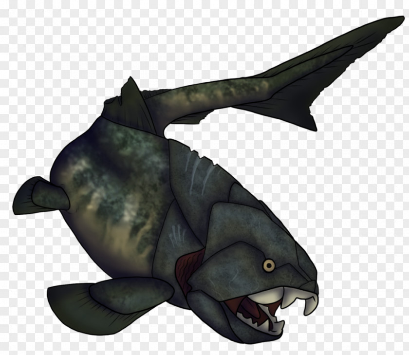 Shark Late Devonian Extinction Prehistoric Fish Arthrodira PNG
