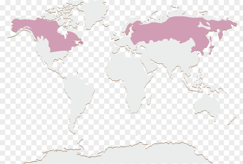 World Map Clip Art Microsoft MapPoint PNG