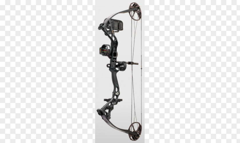 Bow Compound Bows And Arrow Archery Bowhunting PNG