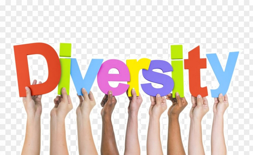 Diverse Diversity Training Multiculturalism Organization PNG