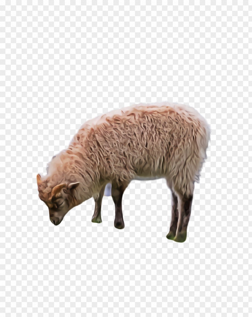 Fawn Statue Eid Sheep PNG