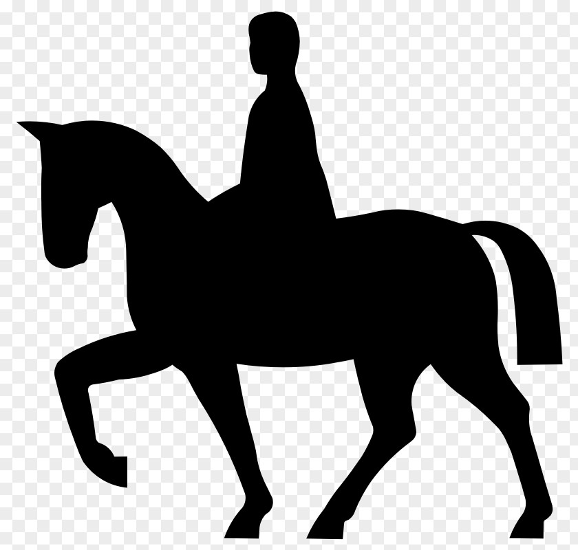 Mustang Equestrian Horse&Rider Clip Art PNG