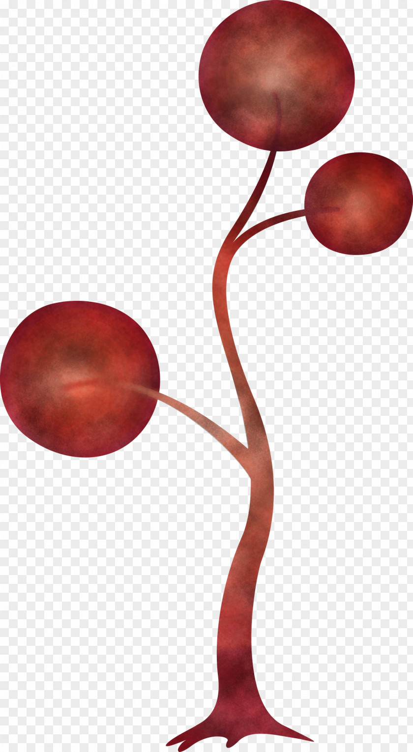 Plant PNG