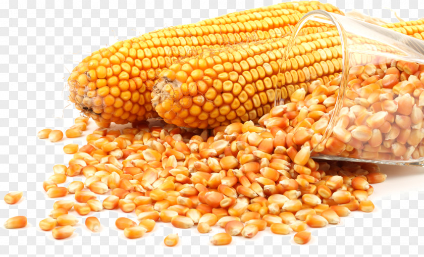 Popcorn Stock Photography Maize Grain PNG
