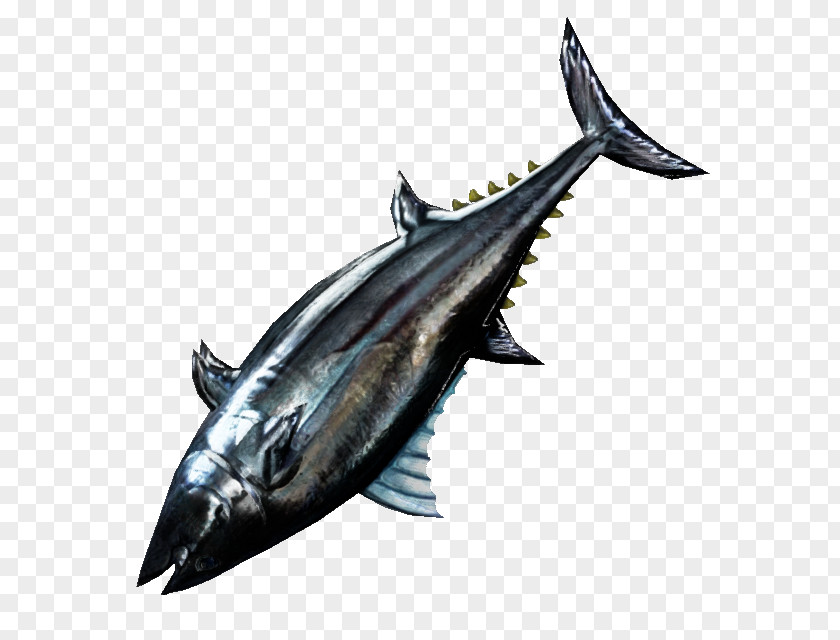 Shark Thunnus Mackerel Swordfish Oily Fish PNG