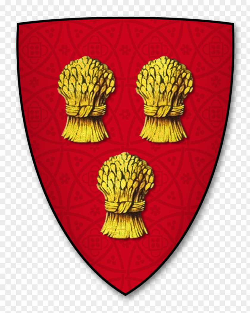 Shield Coat Of Arms Knight Crest Aspilogia PNG