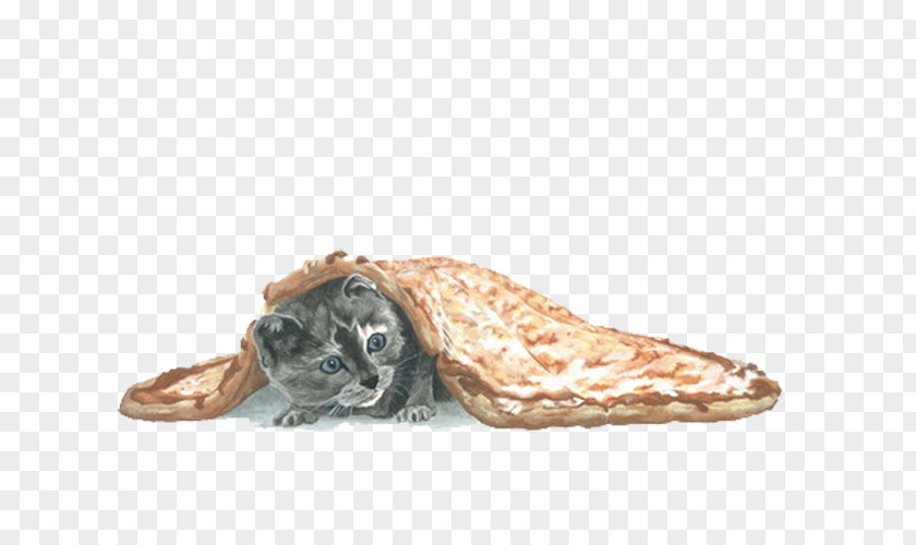 Blanketed Cat Kitten Pizza Blanket PNG
