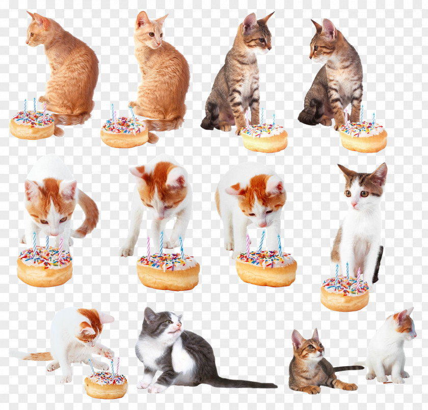 Cats Cat Watercolor Painting Clip Art PNG