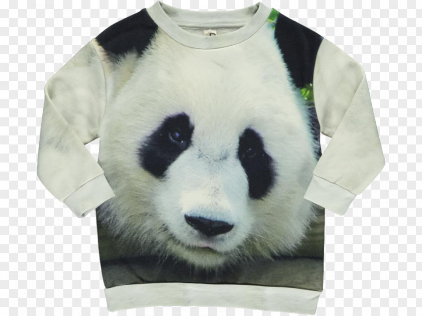 Sandie Lee BooksWatercolor Panda Giant T-shirt Bluza Sweater PandaBears PNG