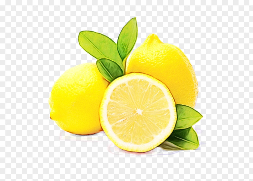 Citron Citric Acid Lemon Citrus Persian Lime Lemon-lime PNG