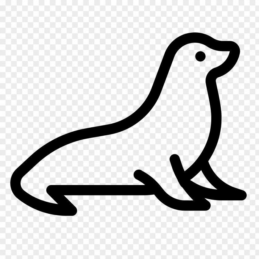 Seal Animal Earless Clip Art PNG