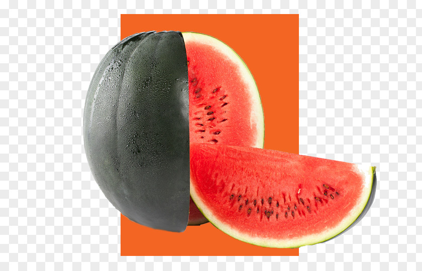 Sugar Melon Watermelon True Garden Seed Daging Buah Fruit PNG