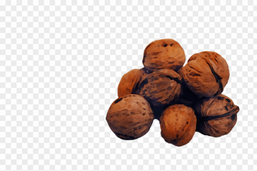 Walnut Superfood Ingredient Nut PNG