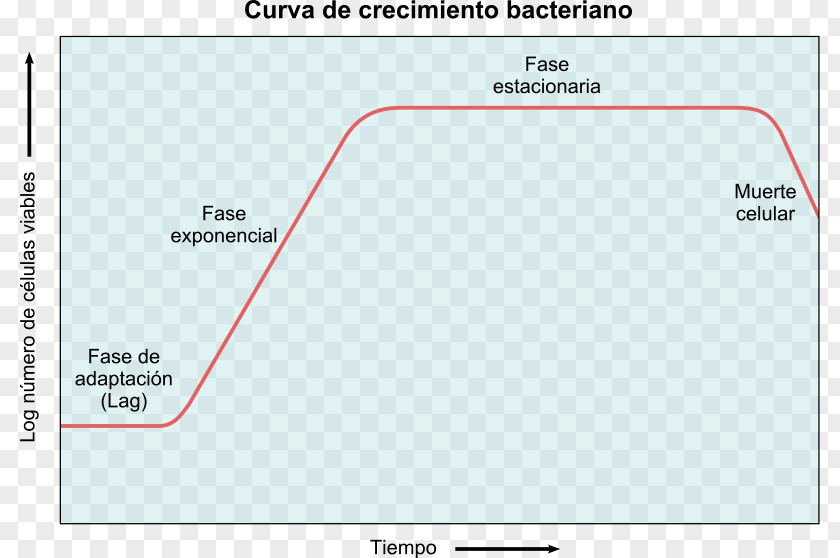 Angle Bacterial Growth Curve Microbial Metabolism Microorganism PNG