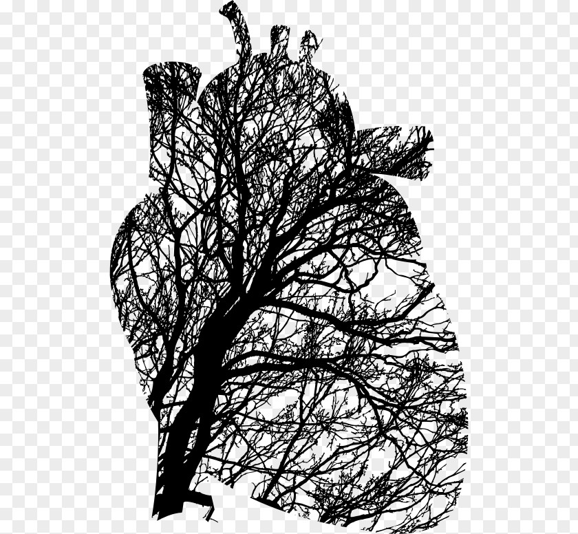 Birdcage And Heart Tree Branch Cardiovascular Disease Clip Art PNG