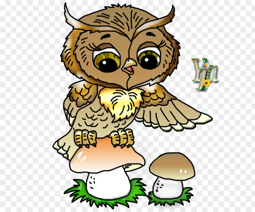 Child Drawing Owl Cartoon Clip Art PNG