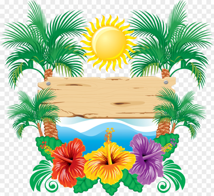 Coconut Trees Prompt Card PNG trees prompt card clipart PNG